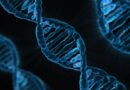 Расшифрован геном человека