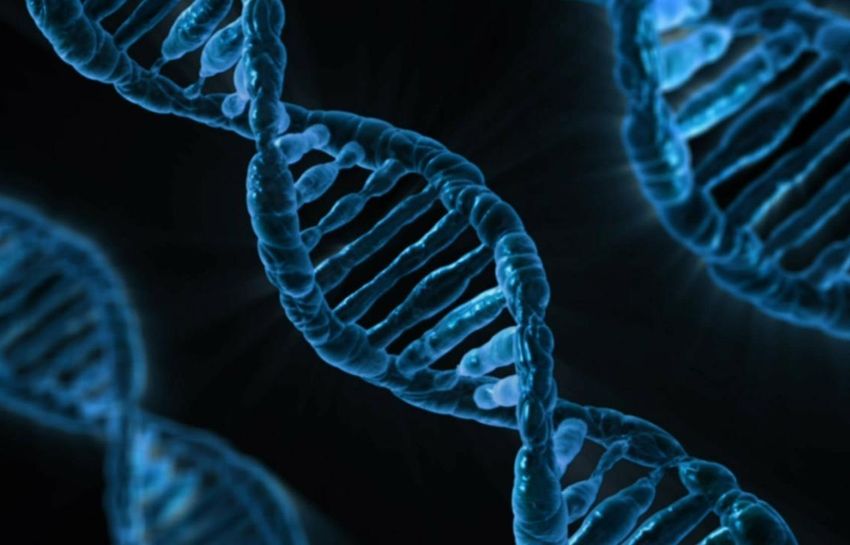Международная команда ученых описала первое в истории секвенирование полного человеческого генома в исследовании