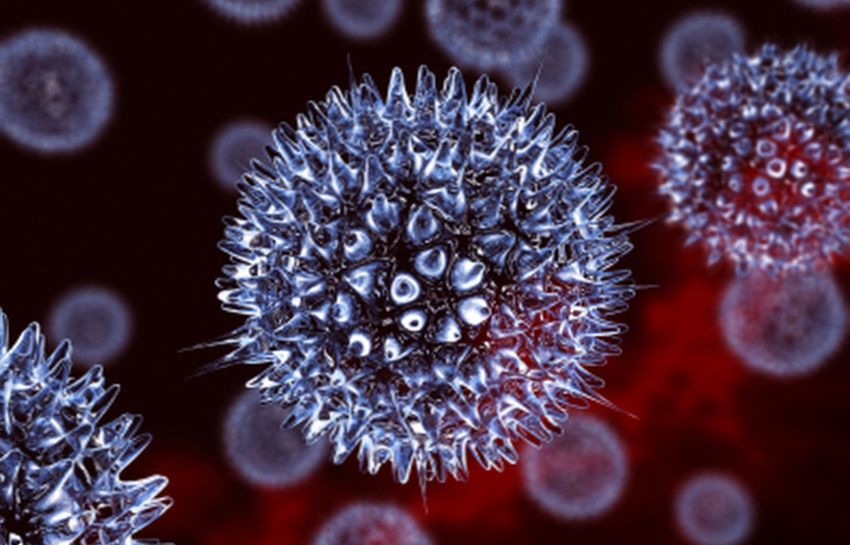 Как сообщают исследователи, вирус убивающий рак проникает в клетки и воспроизводит себя сам.
