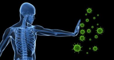 Как работает наша иммунная система?
