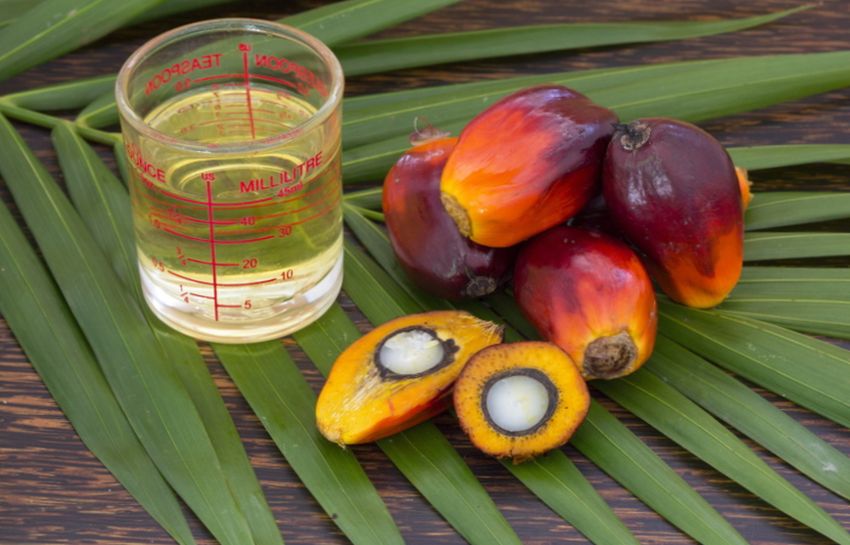 Производство пальмового масла требует вырубки больших площадей тропических лесов ради посадки пальм.