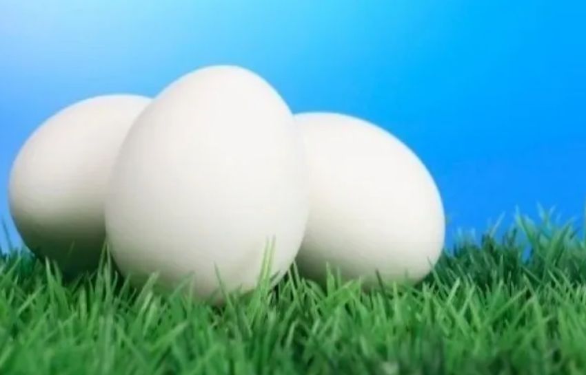 Первое важное правило варки яиц, которое необходимо запомнить, — они должны быть комнатной температуры.