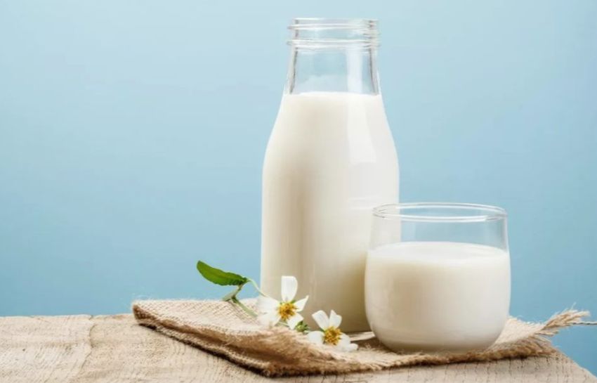 О пользе и вреде молока сказано очень много, однако в некоторых случаях молоко способно принести не только пользу, но и вред,