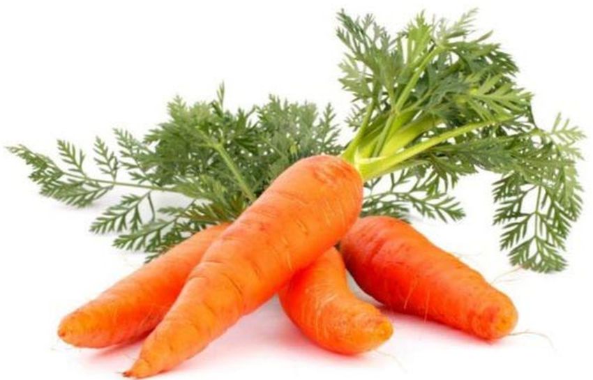 морковь — это один из лучших овощей, способный снижать уровень холестерина