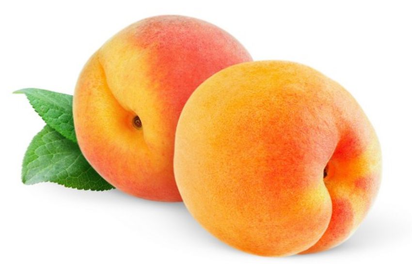 Одним из самых полезных продуктов, обладающих мощными защитными свойствами, оказались персики. Этот фрукт полезен для сердца, иммунной системы и аллергиков.